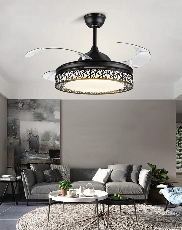 ceiling fan with light