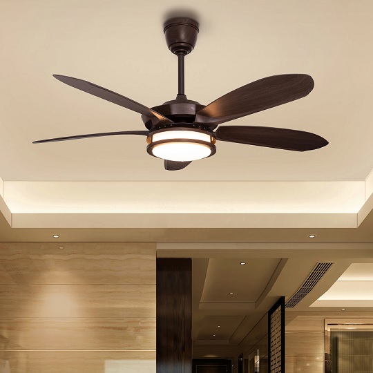 ceiling fan with light