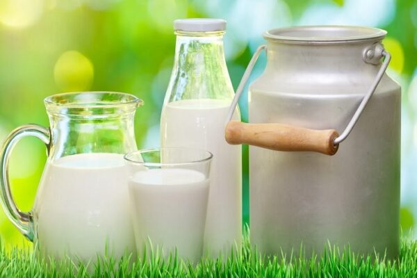 milk