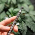 weed pen