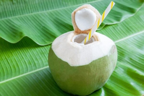 Coconut Water: Amazing Benefits, Smart Uses, and Everything You Need to Know coconut water