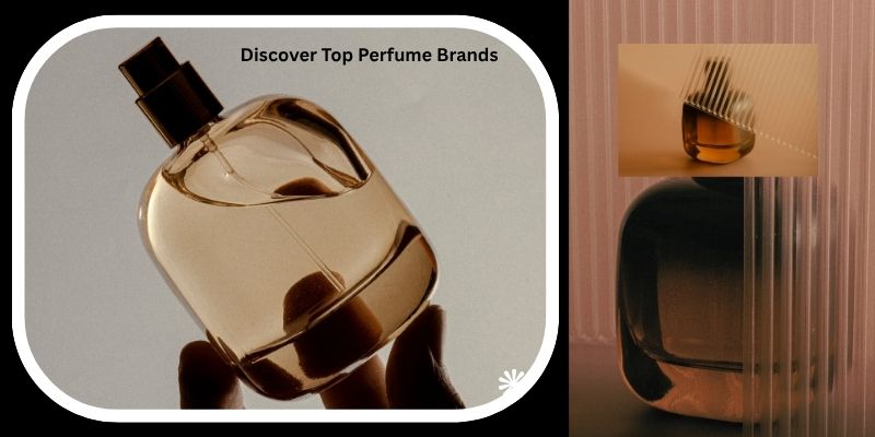 Discover Top Perfume Brands