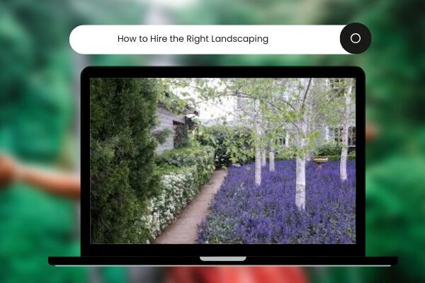 How to Hire the Right Landscaping